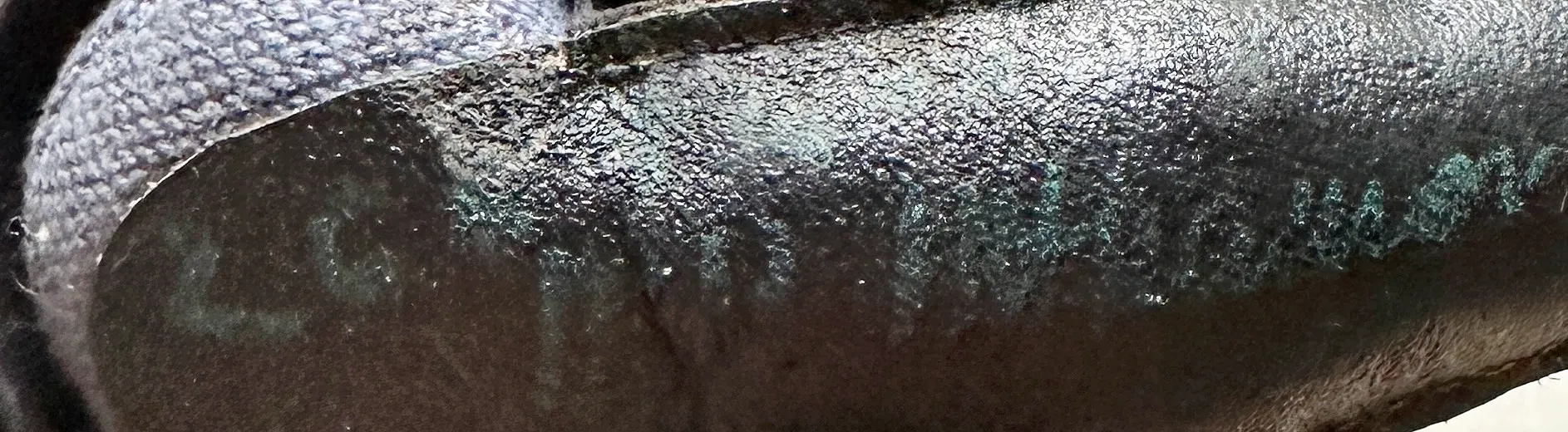 Paweł Althamer - Lalka - obrazek 2